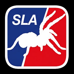Spindelligan