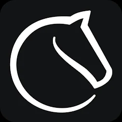 Lichess