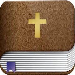 Bible Home - Daily Bible Study