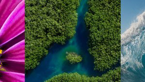 Screenshot 27